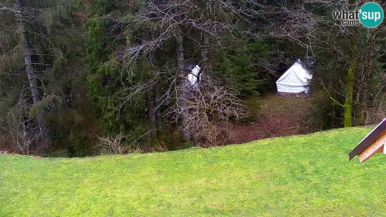 Webcam Lukanja – Water Village | Pohorje Houses