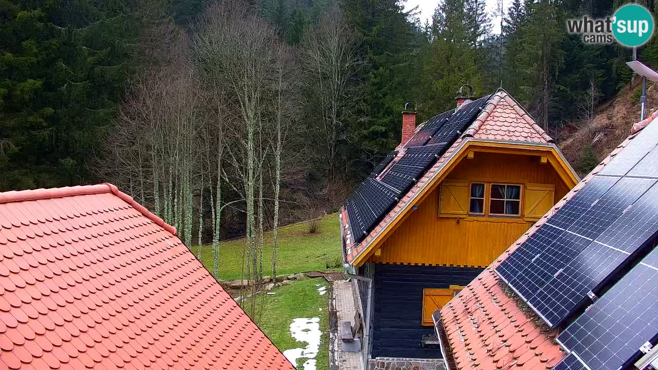 Spletna kamera Lukanja – Water Village | Pohorje Houses