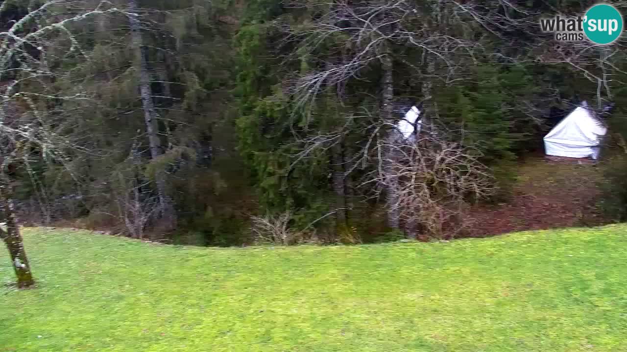 Web kamera Lukanja – Water Village | Pohorje Houses