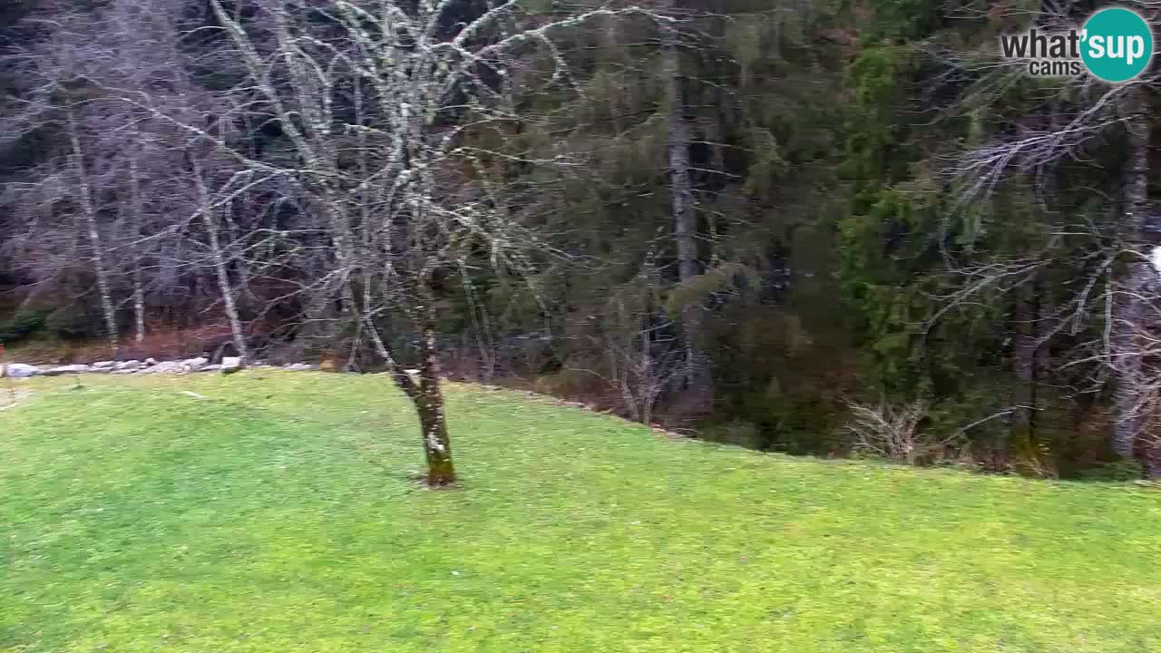 Webcam Lukanja – Pohorje houses a Water village