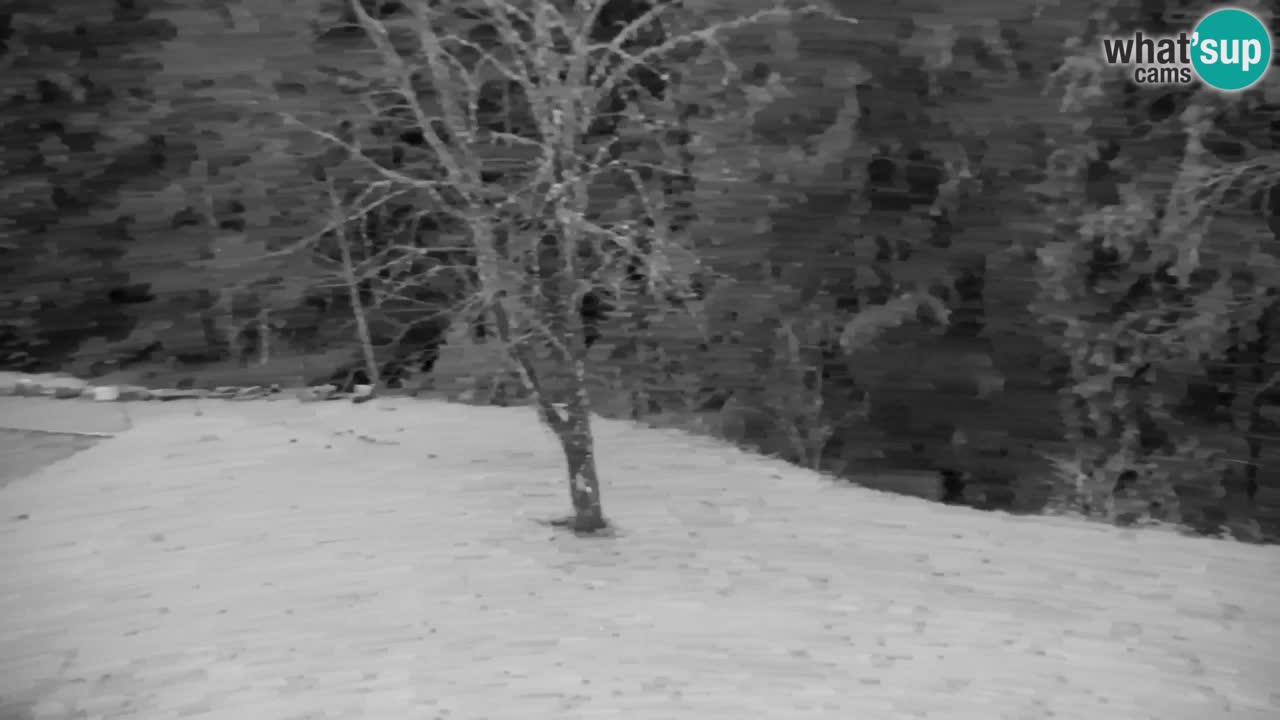 Webcam Lukanja – Pohorje houses a Water village