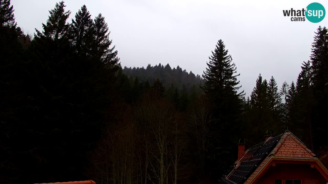 Webcam Lukanja – Water Village | Pohorje Houses