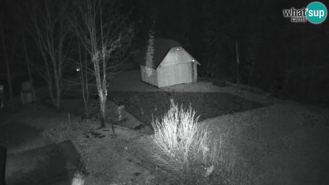 Webcam Lukanja – Water Village | Pohorje Houses