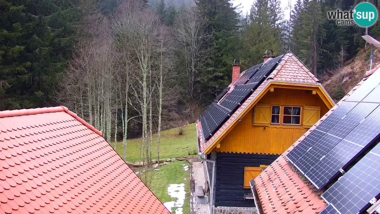 Spletna kamera Lukanja – Water Village | Pohorje Houses