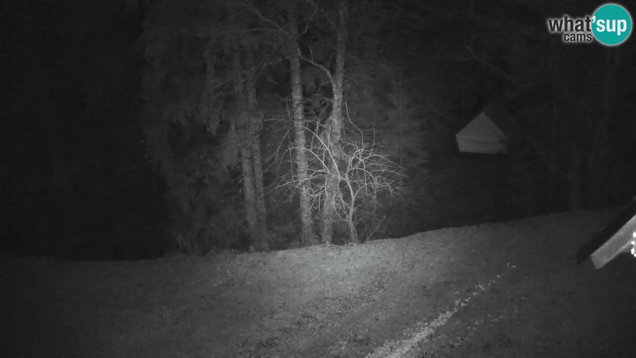 Web kamera Lukanja – Water Village | Pohorje Houses