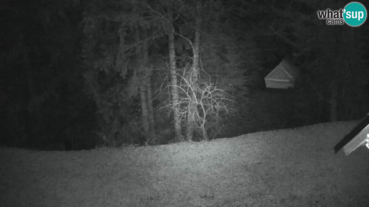 Webcam Lukanja – Pohorje houses a Water village