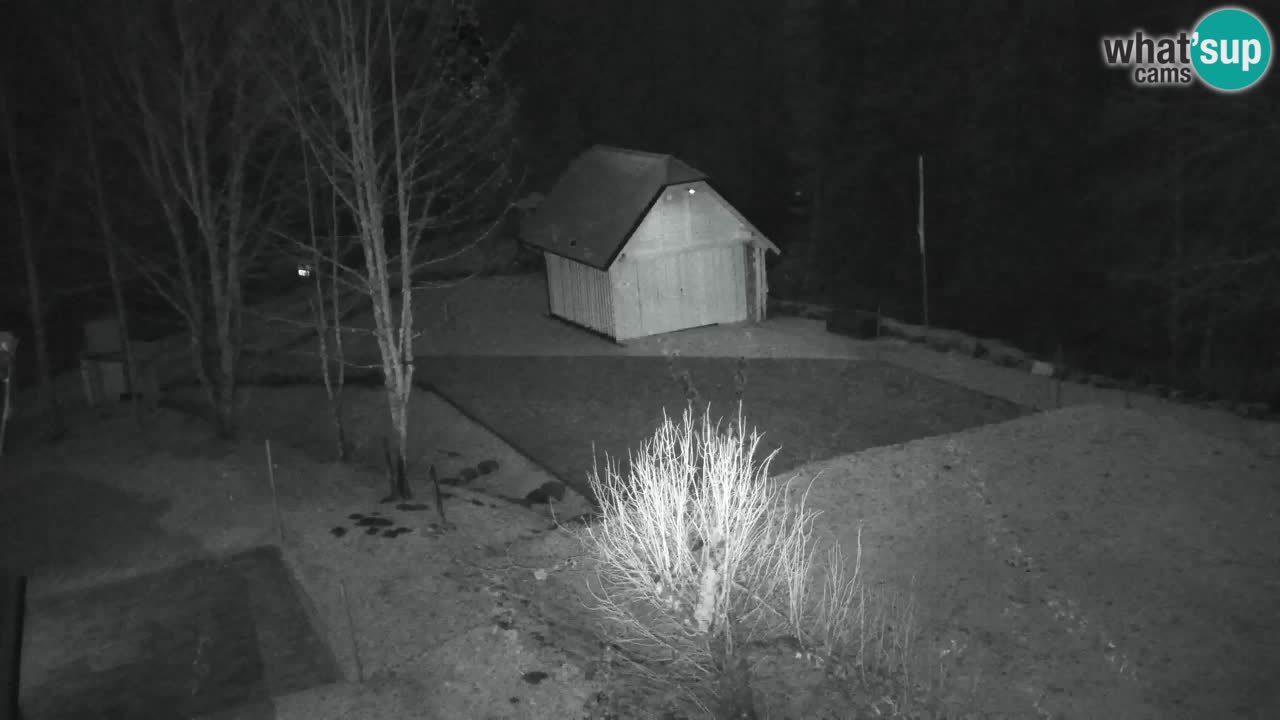 Webcam Lukanja – Pohorje houses a Water village