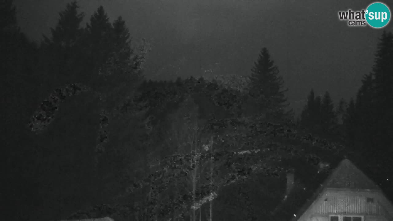 Web kamera Lukanja – Water Village | Pohorje Houses