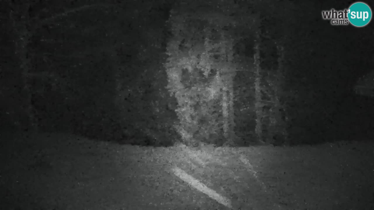 Webcam Lukanja – Pohorje houses a Water village