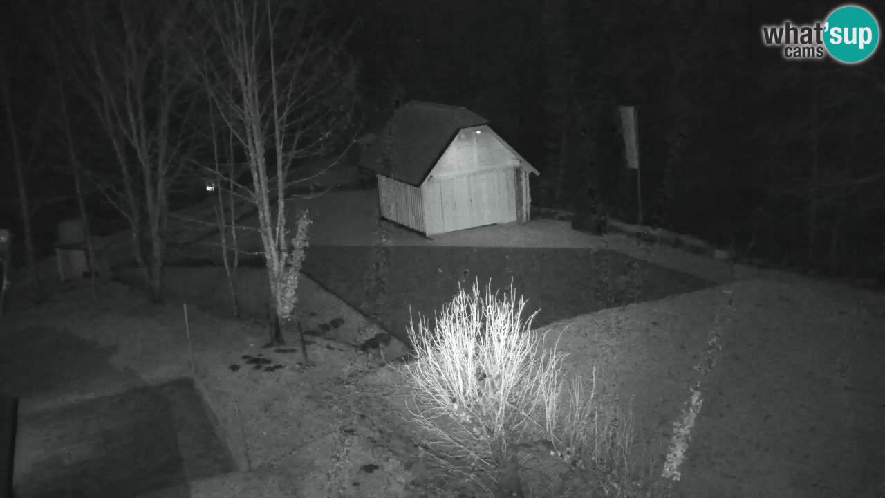 Webcam Lukanja – Water Village | Pohorje Houses