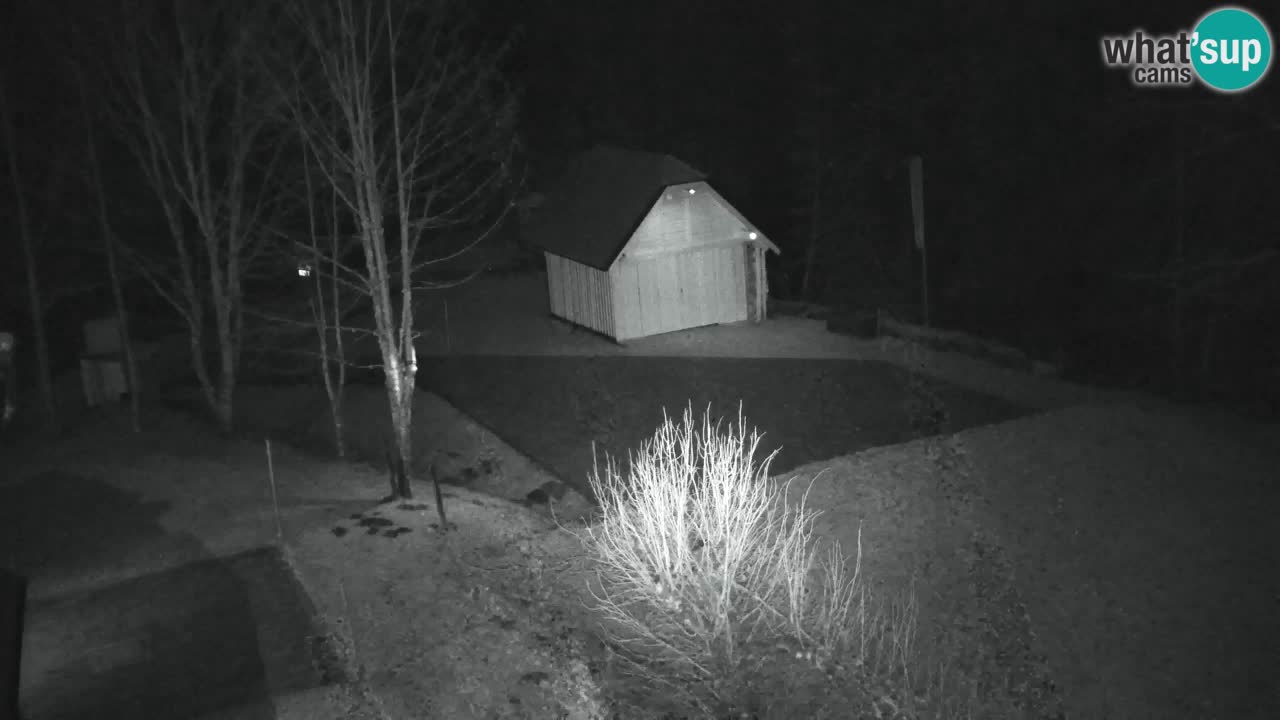 Webcam Lukanja – Pohorje houses a Water village