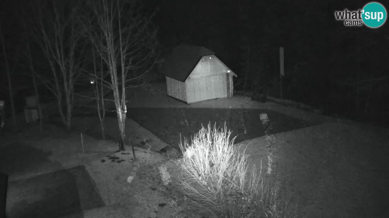 Webcam Lukanja – Water Village | Pohorje Houses