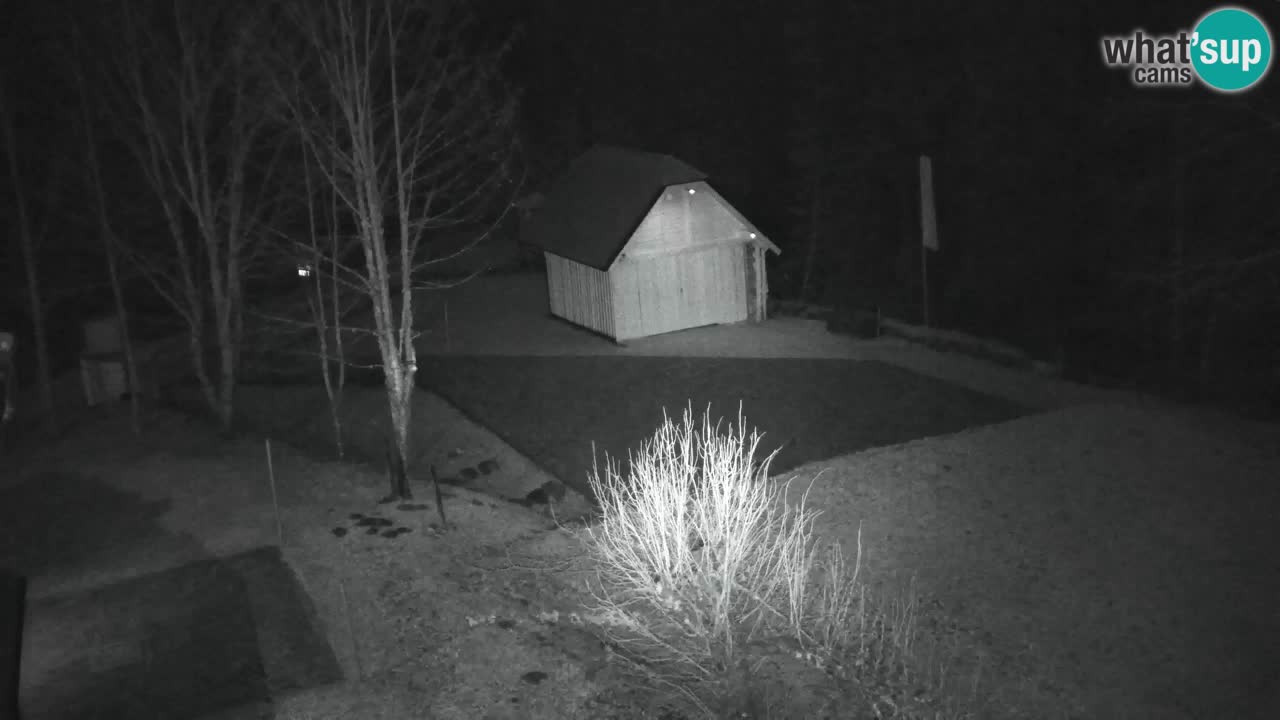 Webcam Lukanja – Pohorje houses a Water village