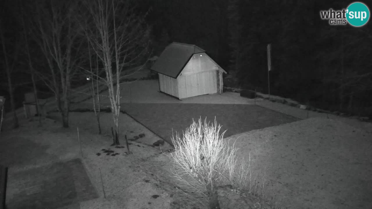 Webcam Lukanja – Pohorje houses a Water village