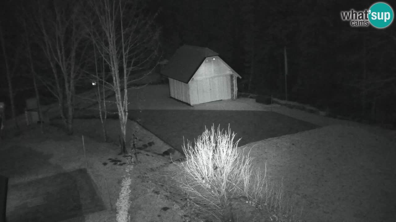 Webcam Lukanja – Pohorje houses a Water village