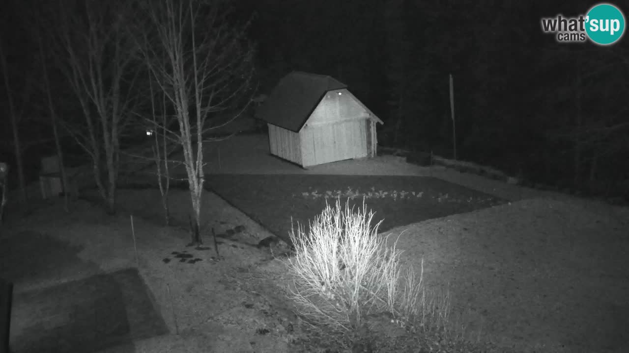 Webcam Lukanja – Water Village | Pohorje Houses