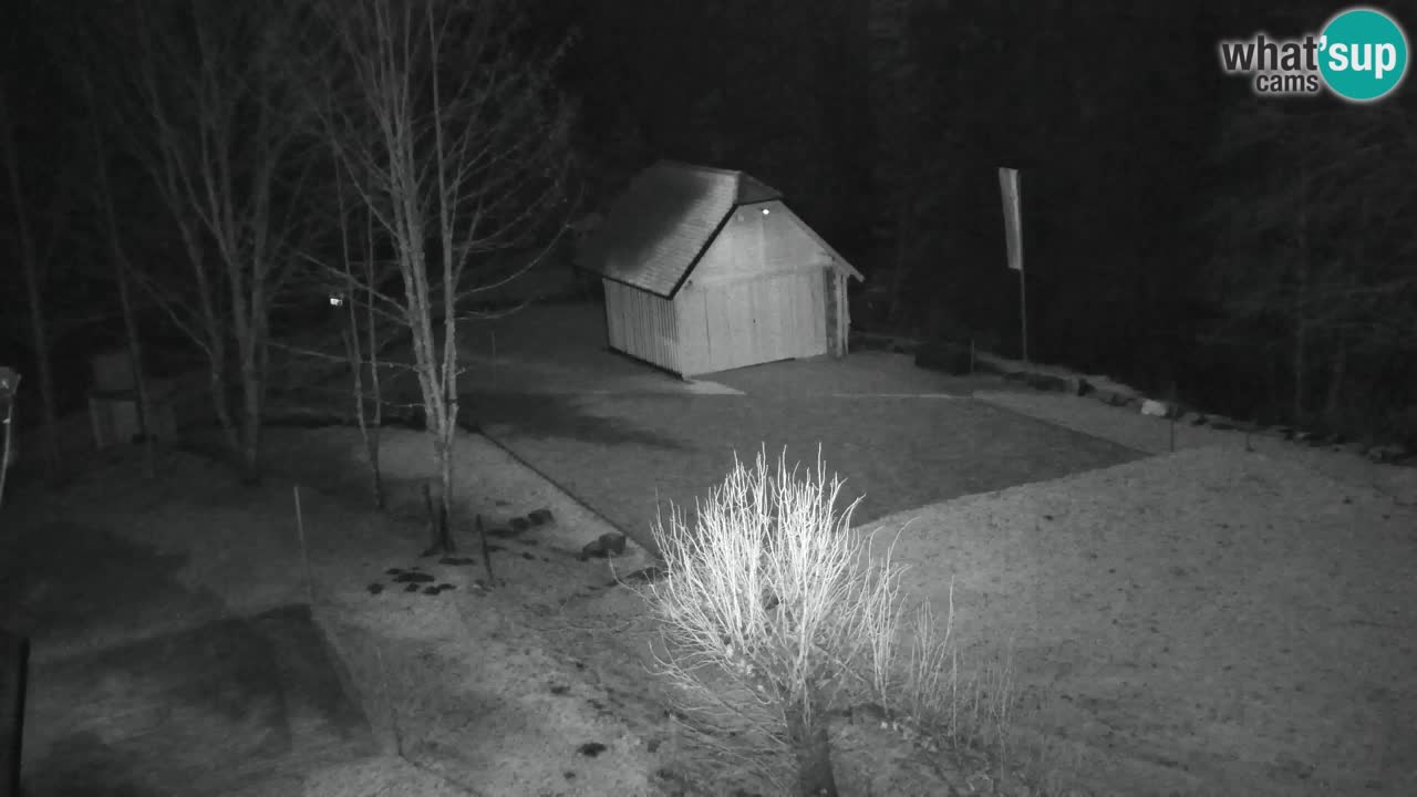 Webcam Lukanja – Water Village | Pohorje Houses