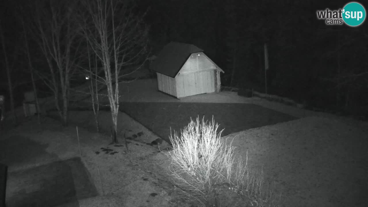 Webcam Lukanja – Pohorje houses a Water village