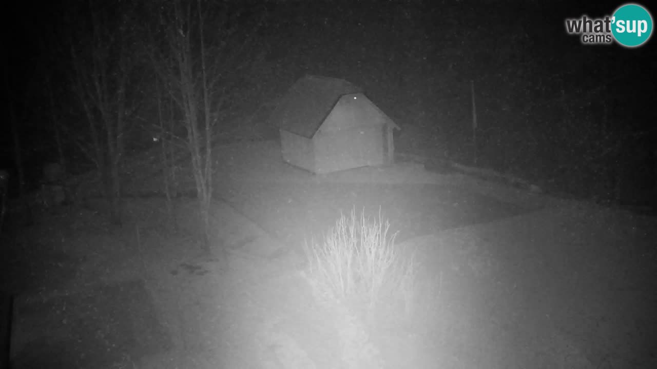 Webcam Lukanja – Water Village | Pohorje Houses