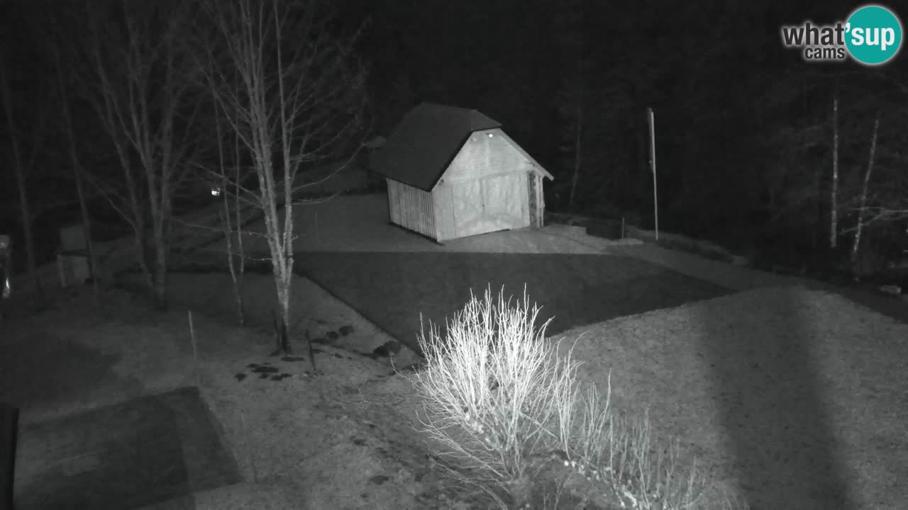 Webcam Lukanja – Water Village | Pohorje Houses