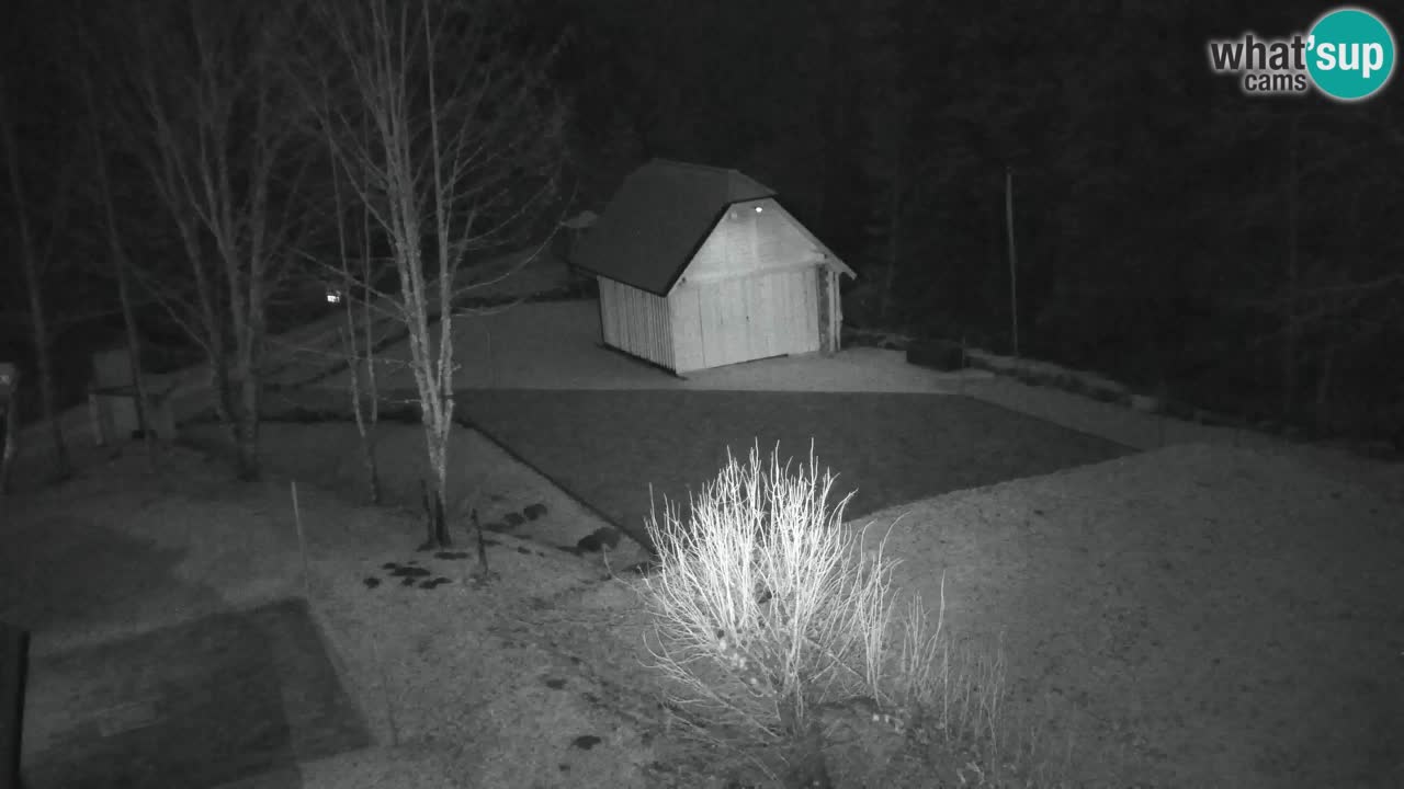 Webcam Lukanja – Water Village | Pohorje Houses