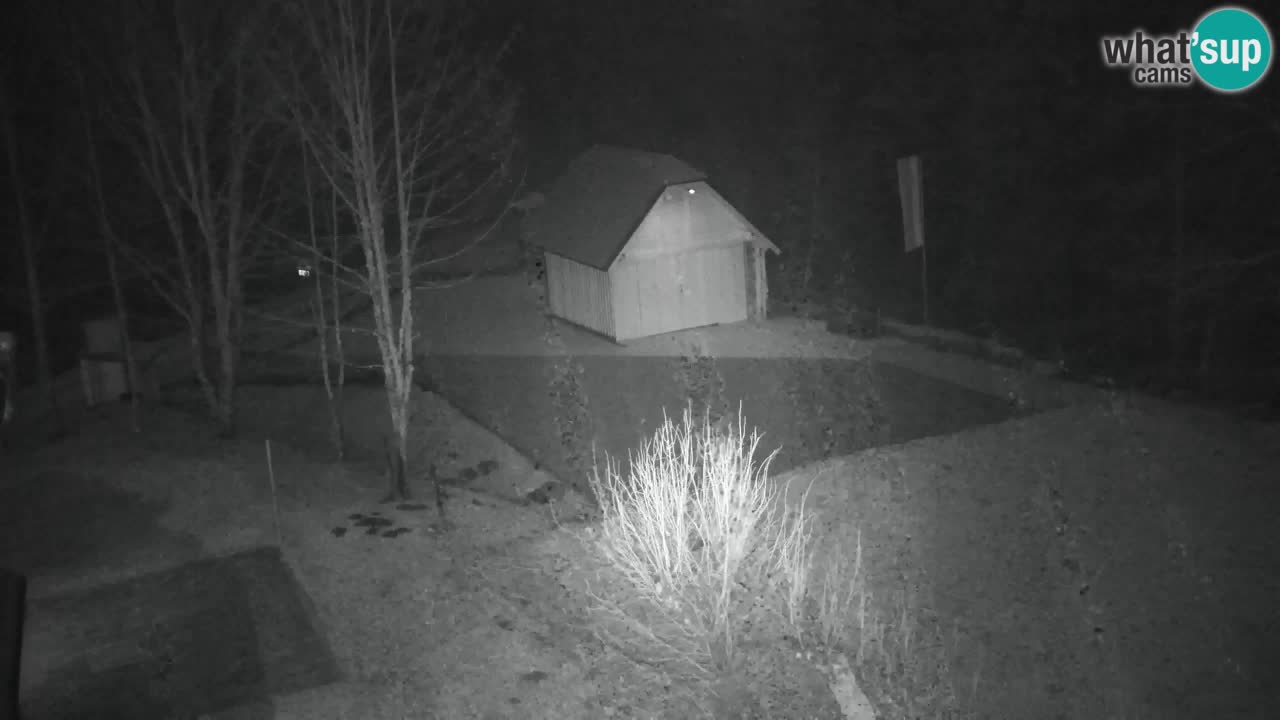 Webcam Lukanja – Pohorje houses a Water village