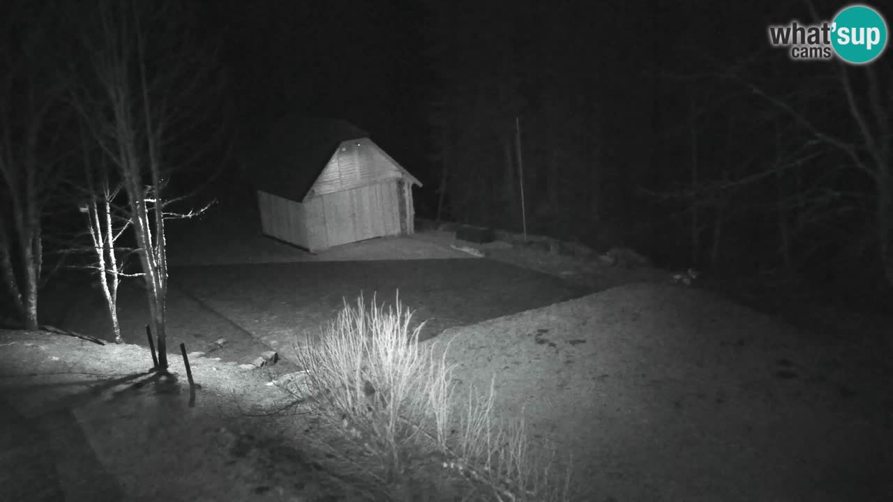 Web kamera Lukanja – Water Village | Pohorje Houses