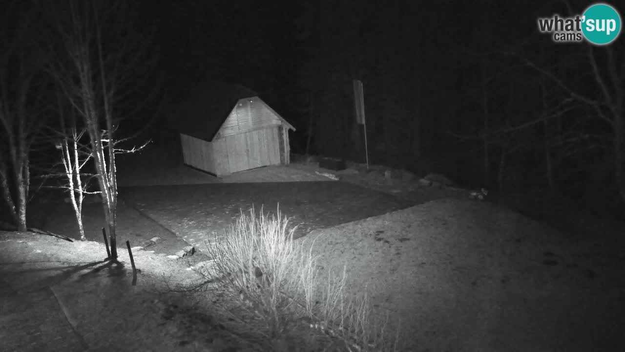 Webcam Lukanja – Water Village | Pohorje Houses