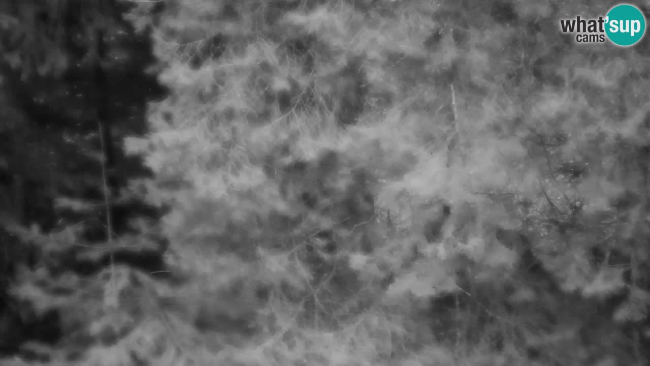 Webcam Lukanja – Water Village | Pohorje Houses