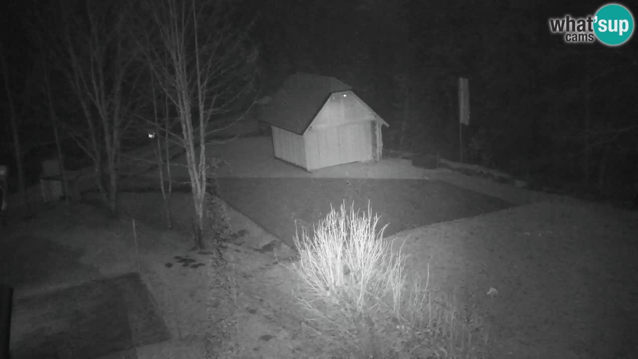 Spletna kamera Lukanja – Water Village | Pohorje Houses