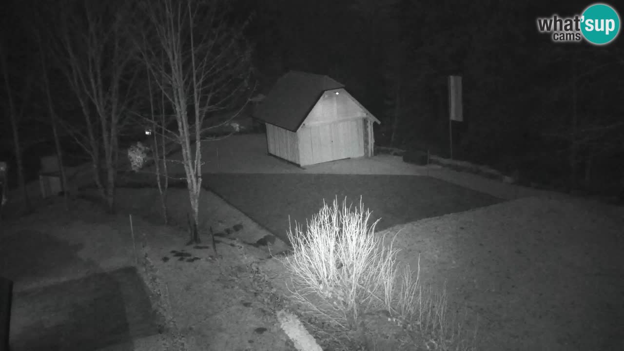 Webcam Lukanja – Water Village | Pohorje Houses