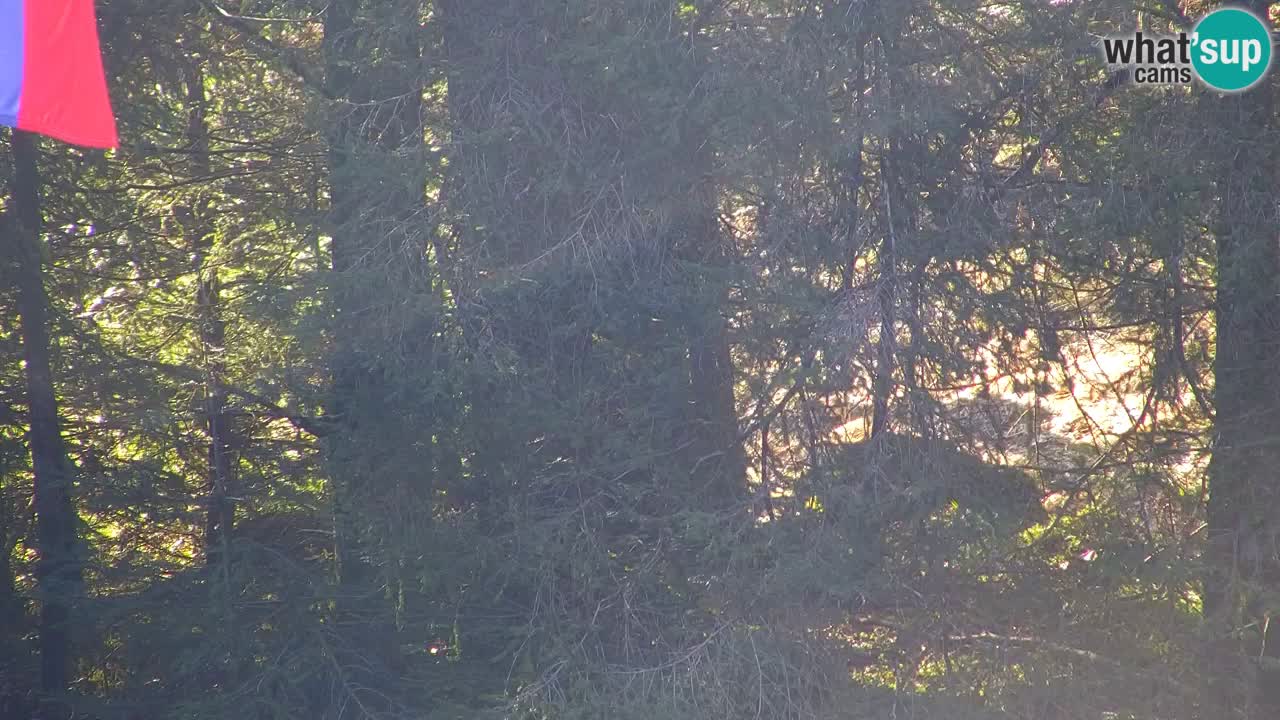 Webcam Lukanja – Water Village | Pohorje Houses