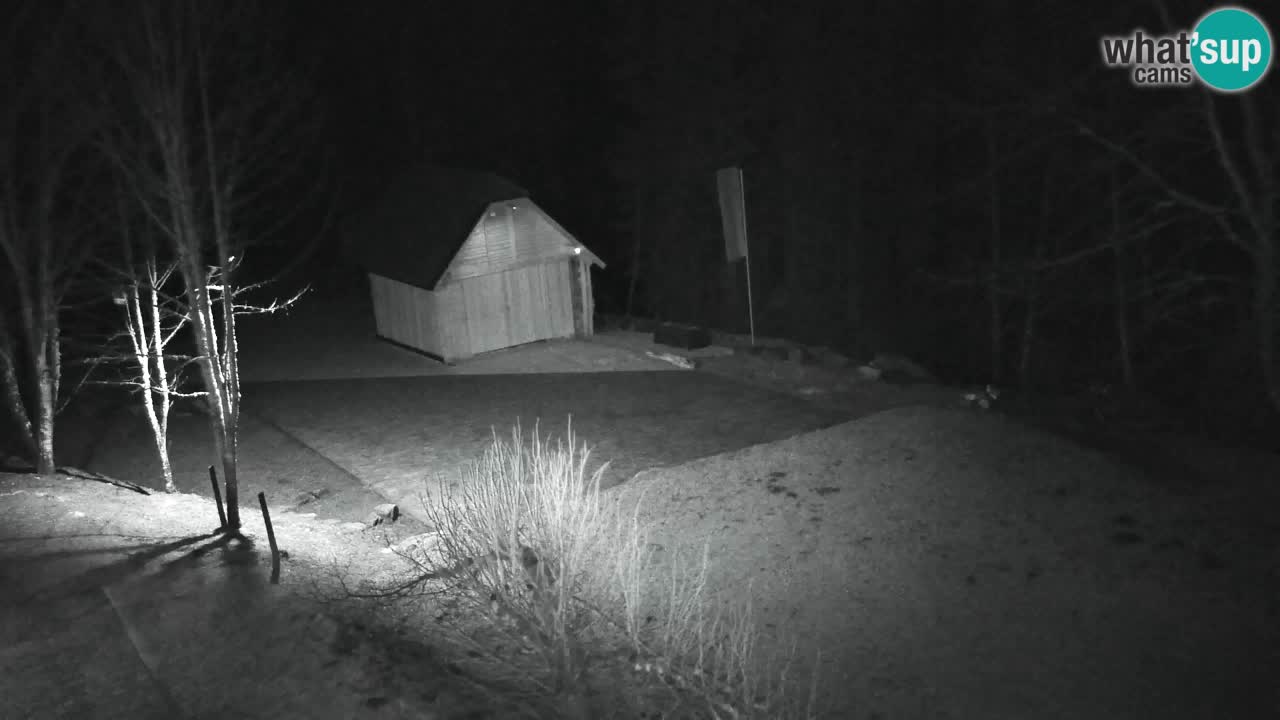 Web kamera Lukanja – Water Village | Pohorje Houses