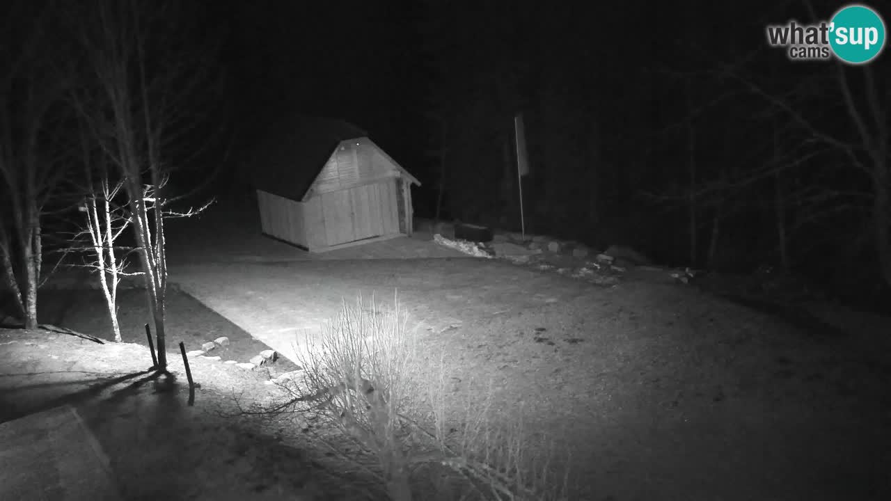 Webcam Lukanja – Water Village | Pohorje Houses