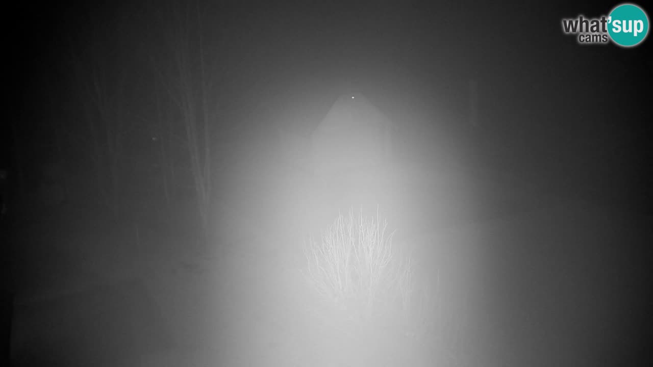 Webcam Lukanja – Pohorje houses a Water village