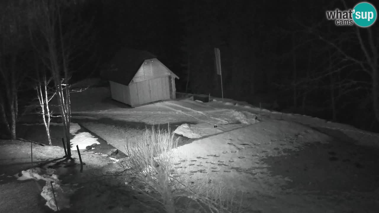 Webcam Lukanja – Pohorje houses a Water village