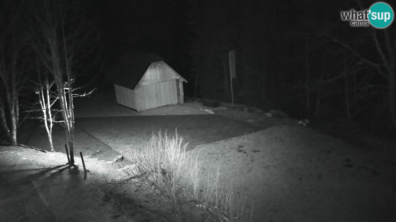 Spletna kamera Lukanja – Water Village | Pohorje Houses