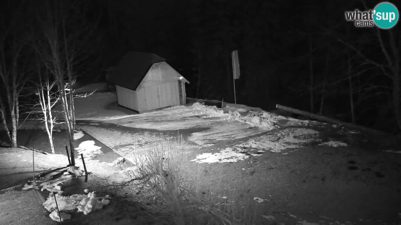 Webcam Lukanja – Pohorje houses a Water village