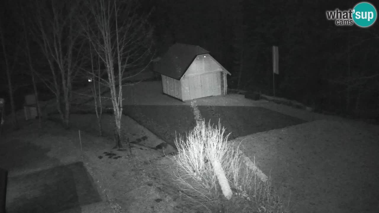 Webcam Lukanja – Pohorje houses a Water village