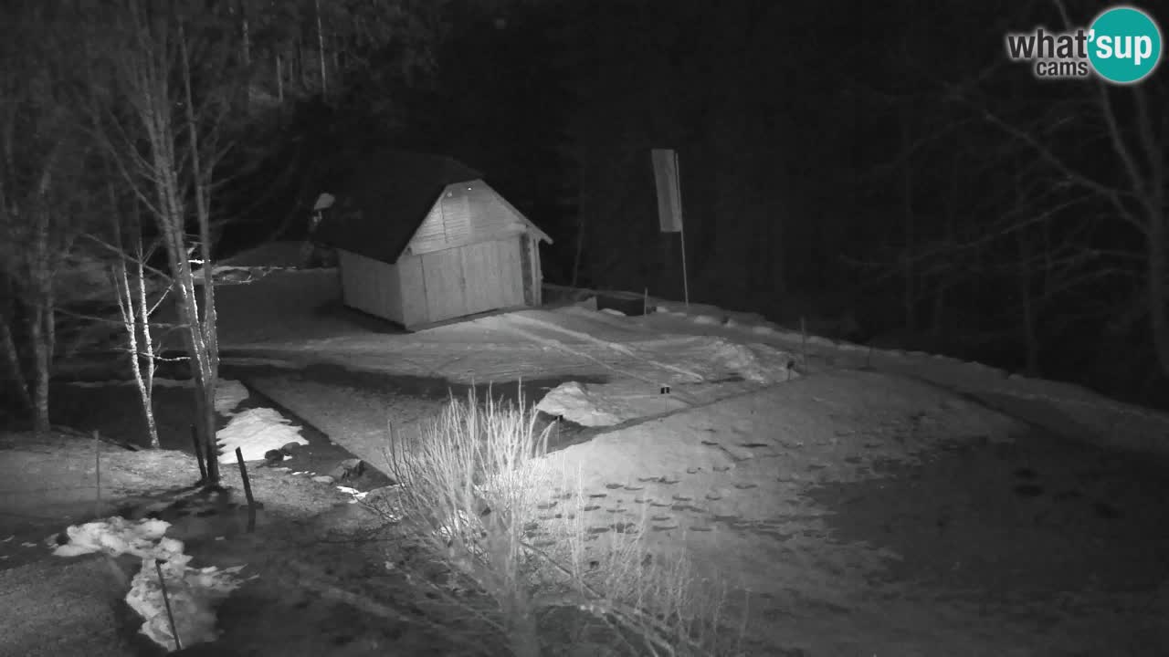 Webcam Lukanja – Pohorje houses a Water village