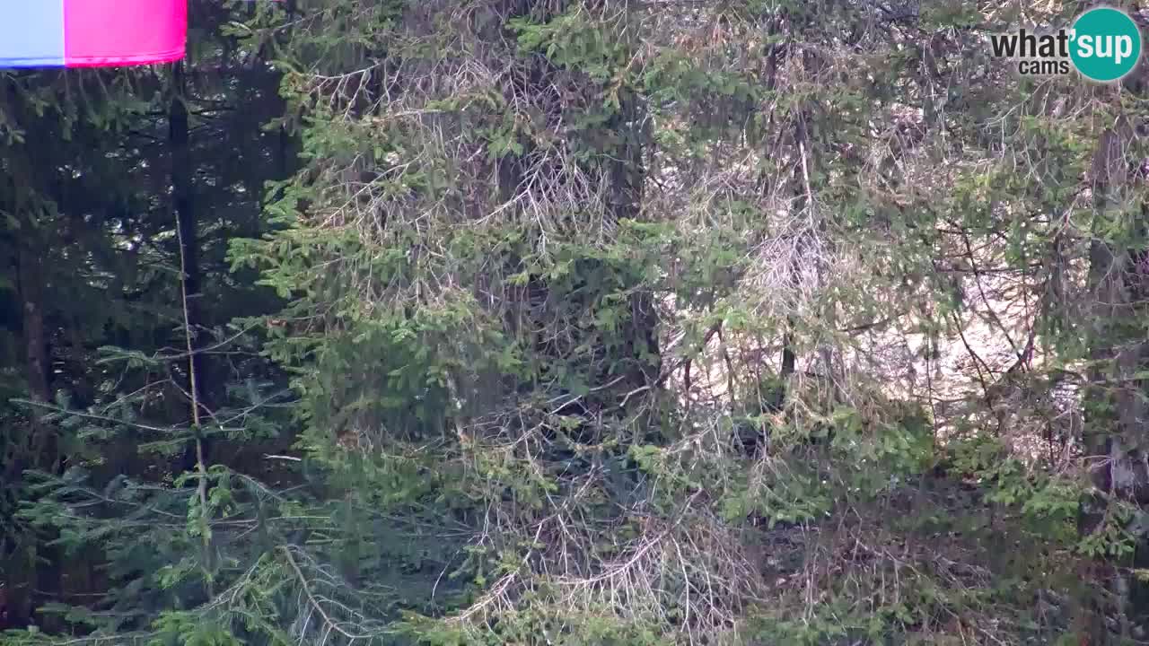 Webcam Lukanja – Water Village | Pohorje Houses