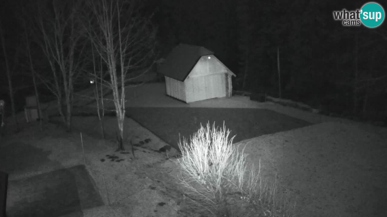 Webcam Lukanja – Water Village | Pohorje Houses