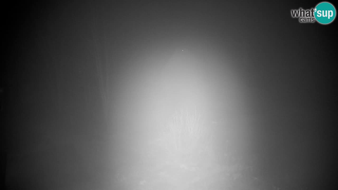 Webcam Lukanja – Pohorje houses a Water village