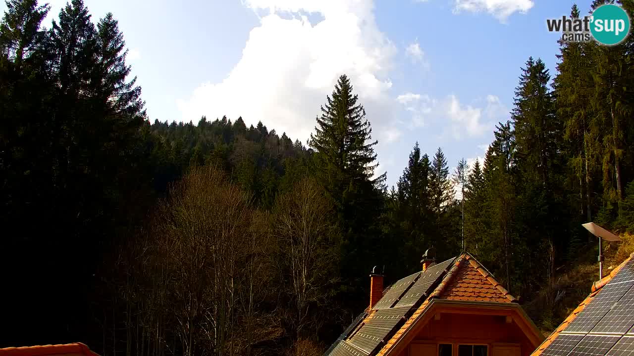 Webcam Lukanja – Water Village | Pohorje Houses