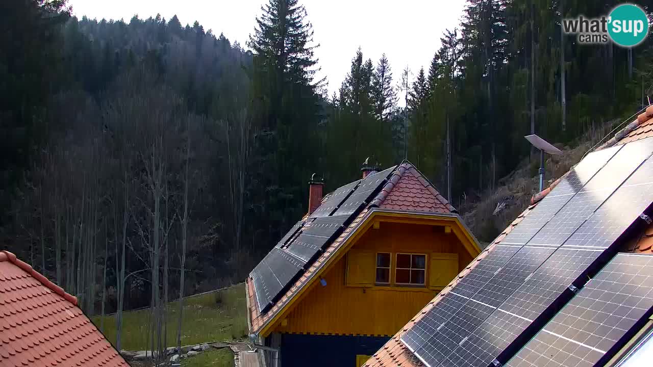 Webcam Lukanja – Water Village | Pohorje Houses