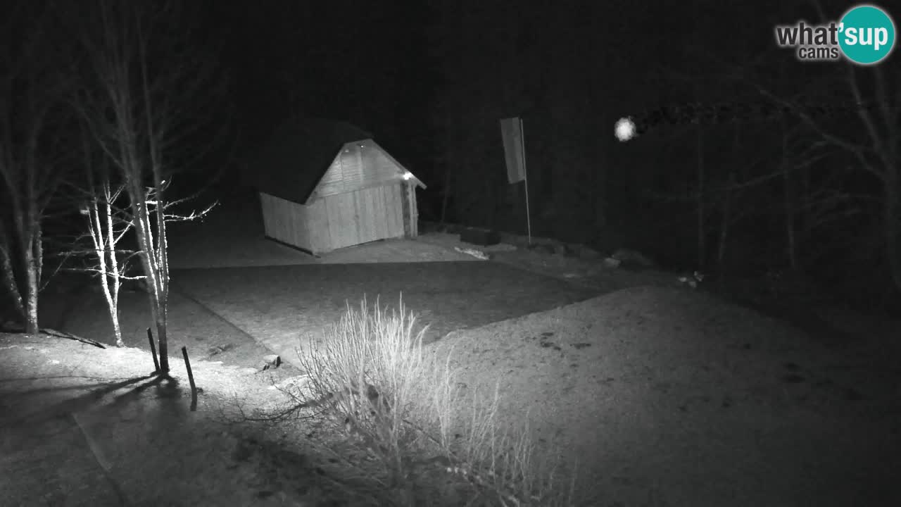 Web kamera Lukanja – Water Village | Pohorje Houses