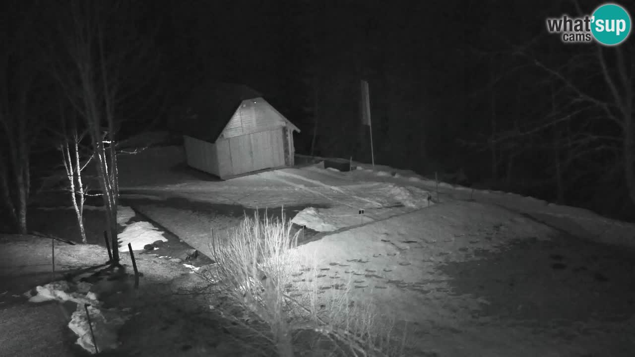 Webcam Lukanja – Pohorje houses a Water village