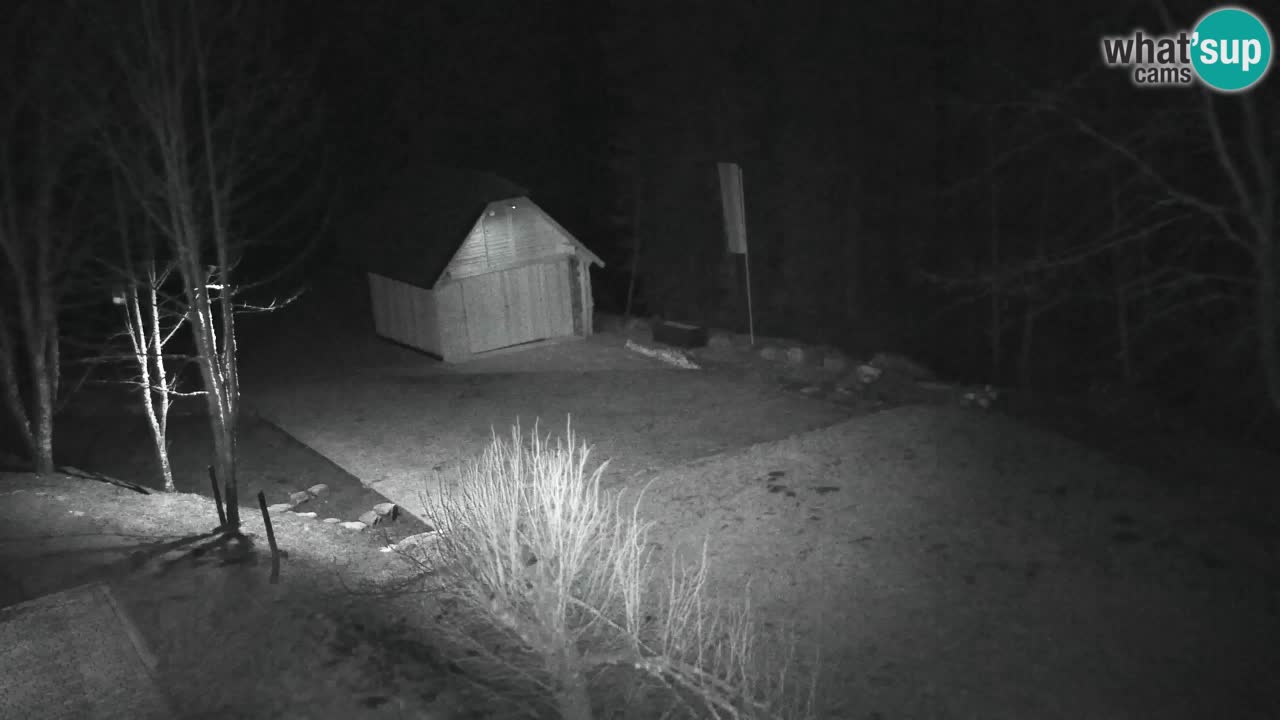 Spletna kamera Lukanja – Water Village | Pohorje Houses