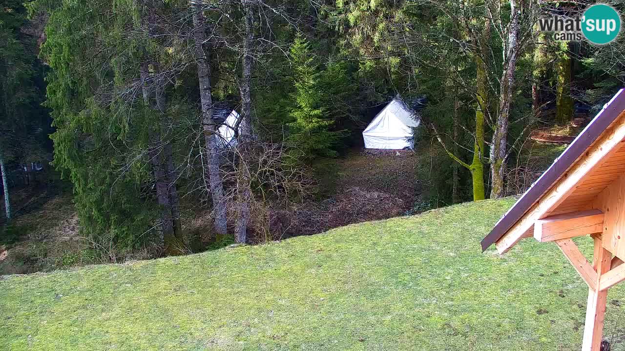 Spletna kamera Lukanja – Water Village | Pohorje Houses