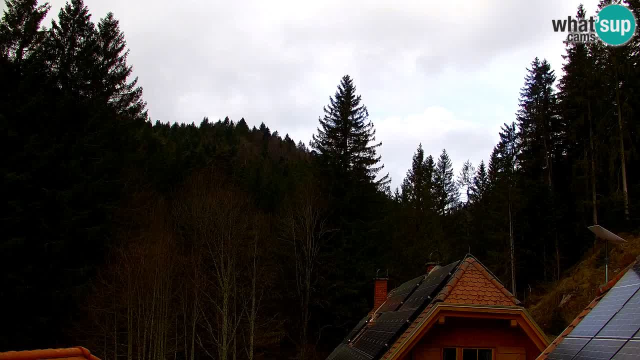 Webcam Lukanja – Pohorje houses a Water village
